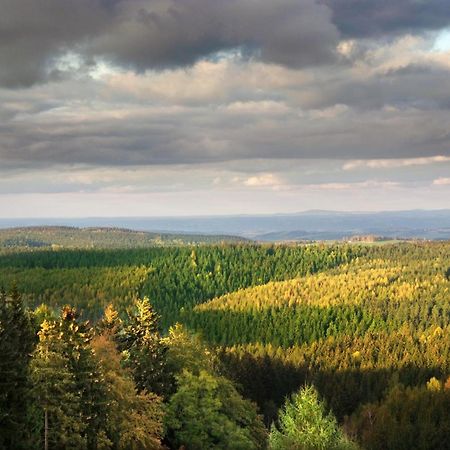 Berghotel Friedrichshoehe Альтенберг Экстерьер фото