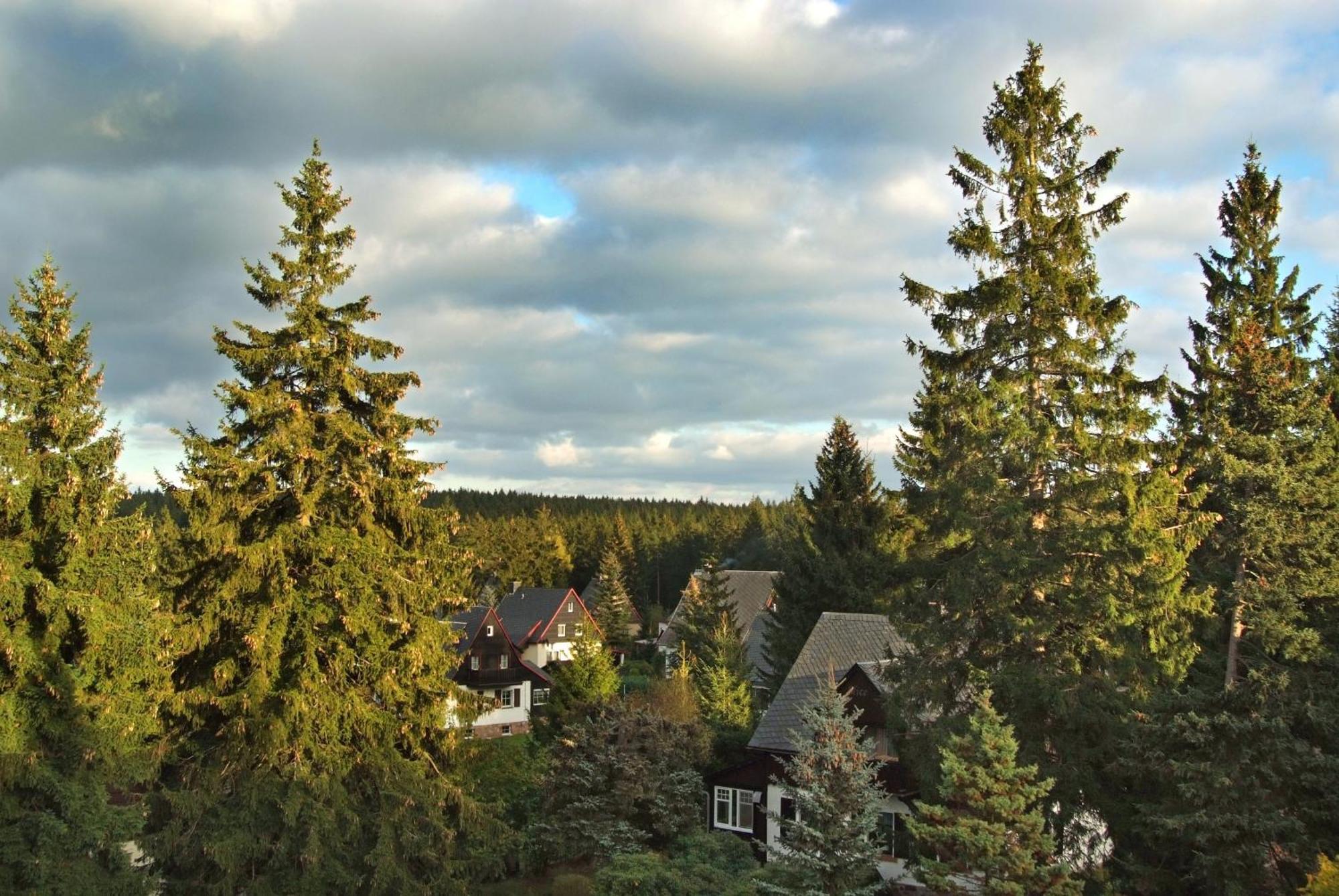 Berghotel Friedrichshoehe Альтенберг Экстерьер фото