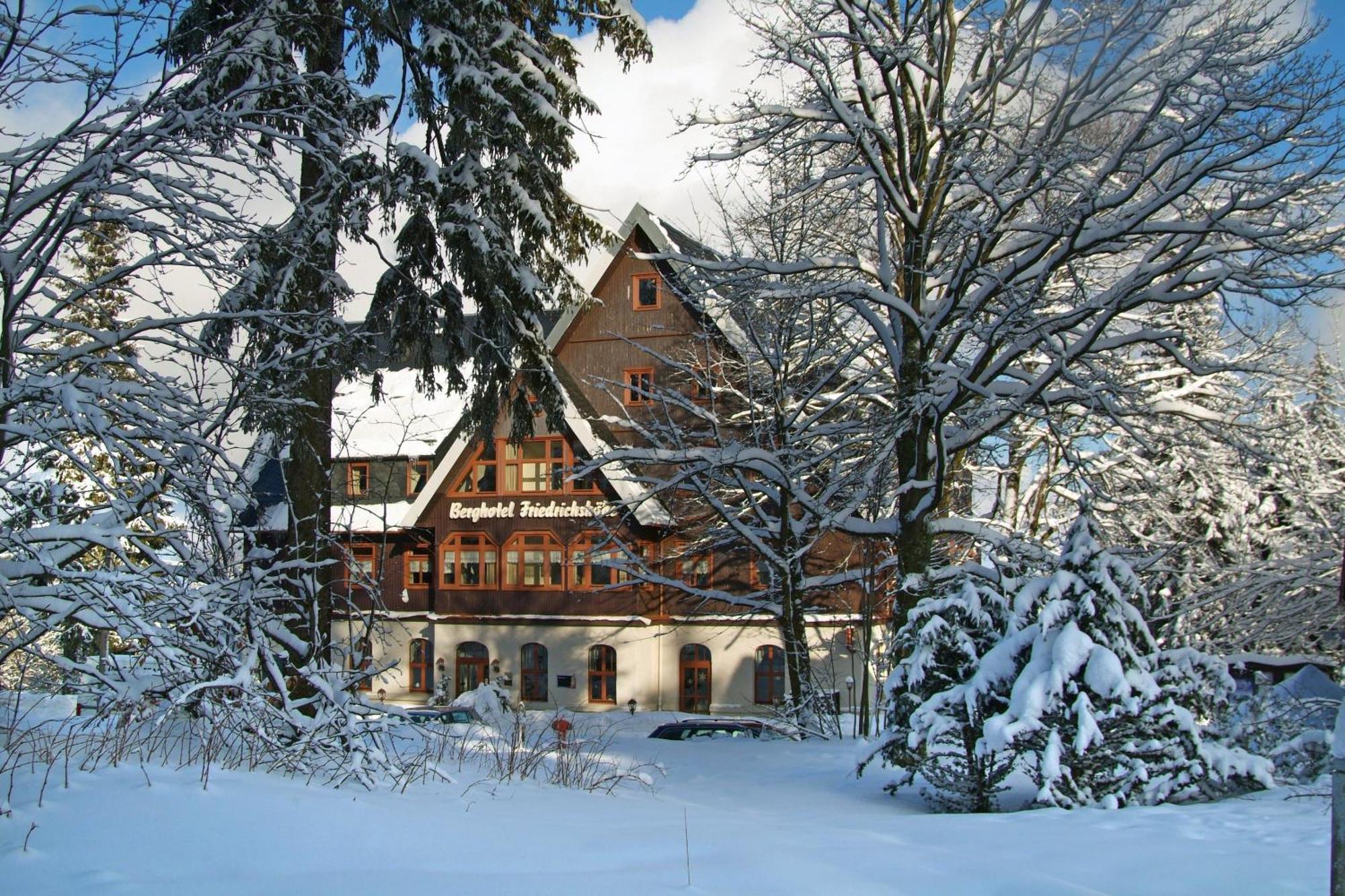 Berghotel Friedrichshoehe Альтенберг Экстерьер фото